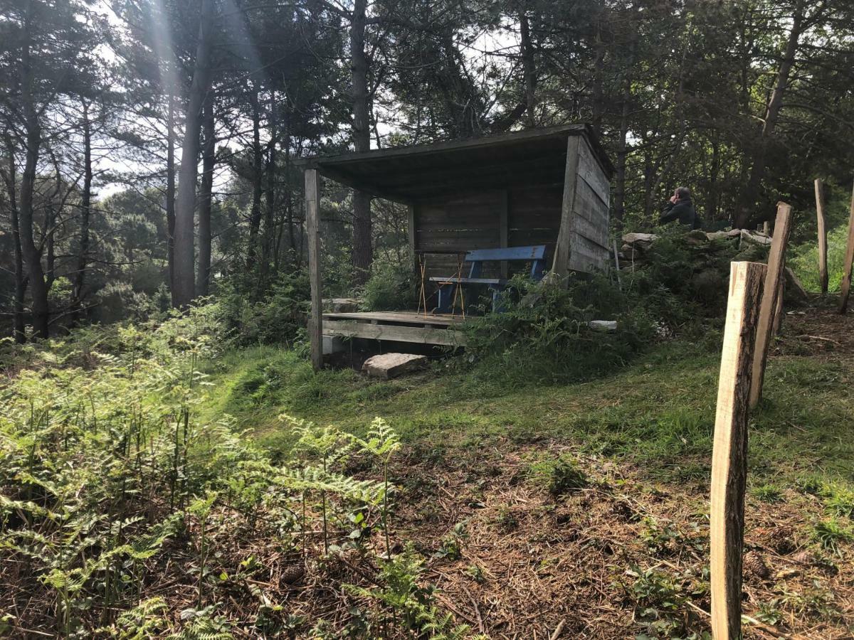 Poullan-sur-Mer Les Fous De Bassans B&B 외부 사진
